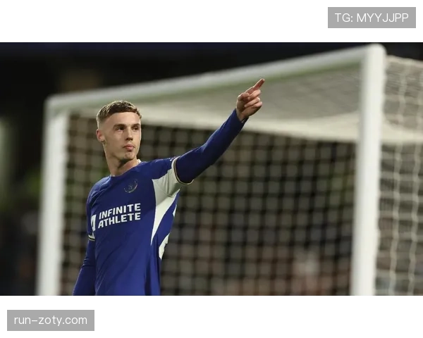 帕尔默数据爆发的战术动因与效率边界解析