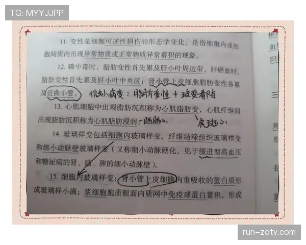 流血离场规则有哪些细节容易被误解？深入拆解裁判处理标准